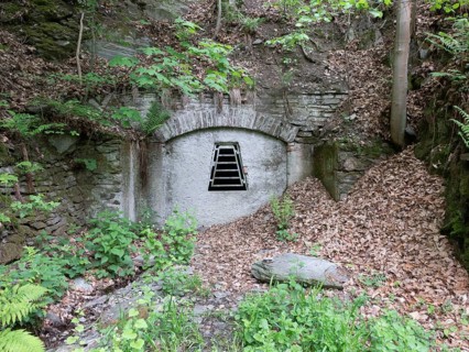 Bat Quarters entrance, wintering, former slate mining tunnel, Thuringia, Germany