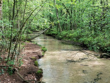 Furlbach, stream, river, near source area, drinking water quality, North Rhine-Westphalia, Germany