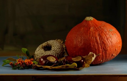 Autumn still life with pumpkin, sunflowers, chestnuts, October, Germany