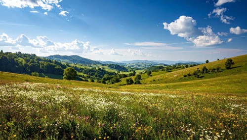 Fresh summer hilly Landscape with blooming Meadow, green plants, Blue Sky with cloudy sky, serene