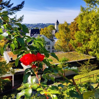 Konrad Adenauer House, view from the garden of St. Mary's Church, Stiftung
