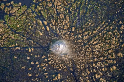 Freshwater marshland, swamp landscape with small island with termite hill, aerial view, Okavango
