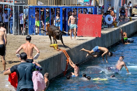 Bous a la Mar Fair, in English Bulls in the Sea, Bullfighting, Javea or Xàbia, Alicante Province,