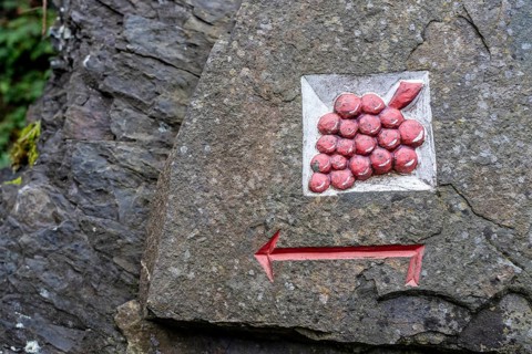Guide to the red wine hiking trail in the Ahr Valley, logo, here near Altenahr,