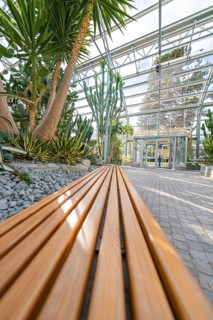 Modern greenhouse with wooden benches filled with tropical plants, Überlingen, Lake Constance,