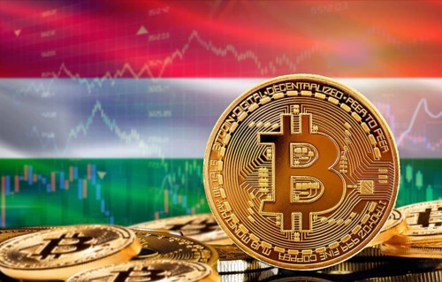 Investors in cryptocurrency and Blockchain Technology in Hungary, Concept. Bitcoin with Hungary