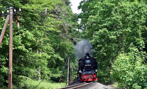 Der rasende Roland, steam locomotive on Rügen, Mecklenburg-Western Pomerania, Germany
