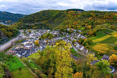Vineyards in autumn in the central Ahr valley, near Altenahr, Rhineland-Palatinate