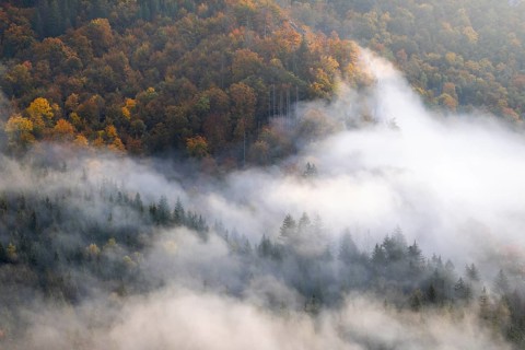 View from the Knopfmacherfelsen into the Danube valley, mixed forest, autumn colours, fog, autumn,