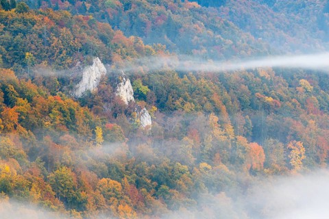 View from the Knopfmacherfels into the Danube valley, limestone rock, rock face, mixed forest,