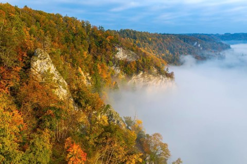 View from the Knopfmacherfels into the Danube valley, limestone rock, mixed forest, autumn colours,