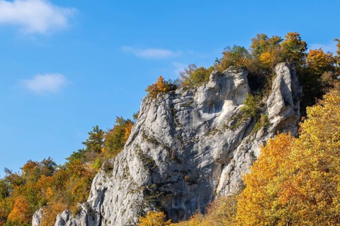 Rock face mixed forest in autumn colours, limestone rock, autumn, Gutenstein, Danube valley, Upper