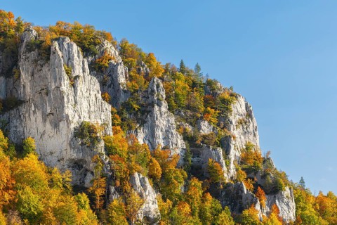 Rock face with mixed forest in autumn colours, limestone rock, autumn, Schaufelsen Donautal,