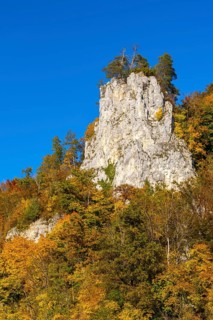 Rock face in mixed forest in autumn colours, limestone rock, autumn, Danube valley, Upper Danube