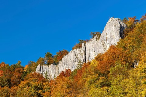 Rock face in mixed forest in autumn colours, limestone rock, autumn, Danube valley, Upper Danube