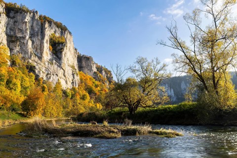 Rock face with mixed forest in autumn colours, limestone rock, Danube, autumn, Schaufelsen