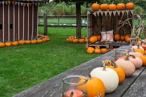 Autumnal decoration with pumpkins, colourful ribbon and candles on a wooden table in a green