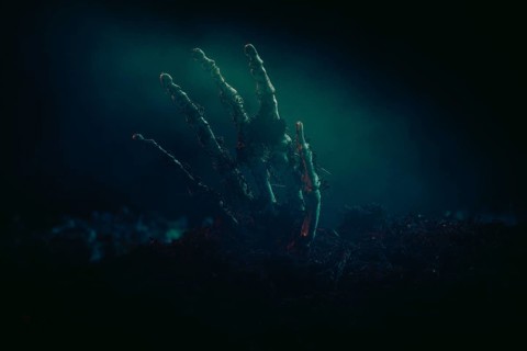 A single skeletonised hand protruding eerily from the dark earth, Halloween