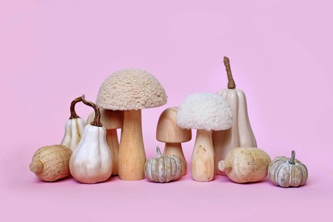 Decorative pumpkin and mushroom ornaments on pink background