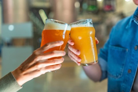 Hands clinking foamy craft beer glasses in a modern brewery taproom, celebrating friendship and