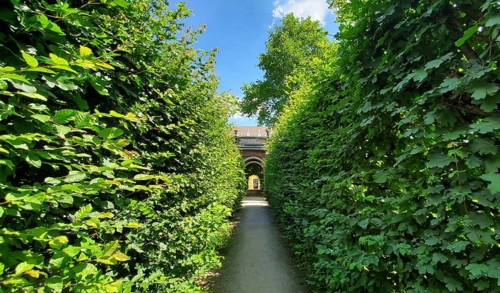 Austria, Schonbrunn Palace Imperial royal Gardens in Vienna