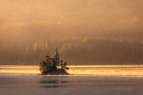 Morning atmosphere at the Eibsee lake, small island in the first light, Grainau near