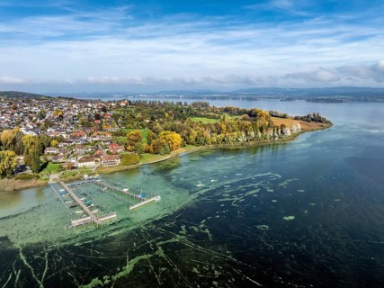 Aerial view of the Höri peninsula with the village of Horn and the boat harbour with jetty, on the
