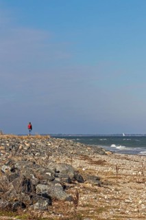 Beach, Baltic Sea, Falshöft, Pommerby, Schleswig-Holstein, Germany