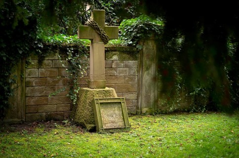 Gravestone, ivy, grave, graves, Hoppenlauf cemetery, oldest preserved cemetery in Stuttgart,