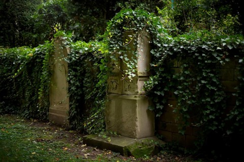 Gravestones, ivy, grave, graves, Hoppenlauf cemetery, oldest preserved cemetery in Stuttgart,
