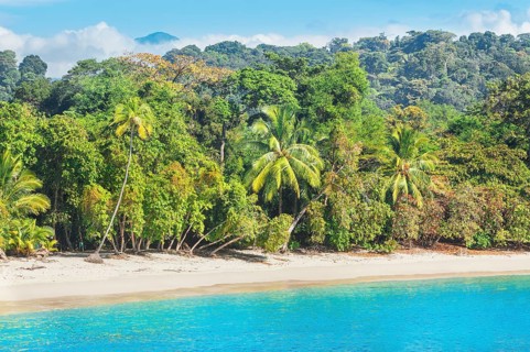 Tropical beach, Manuel Antonio National Park, Quepos, Costa Rica