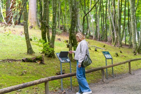 Woman looking at information boards in a quiet forest, Affenberg Salem, Lake Constance district,
