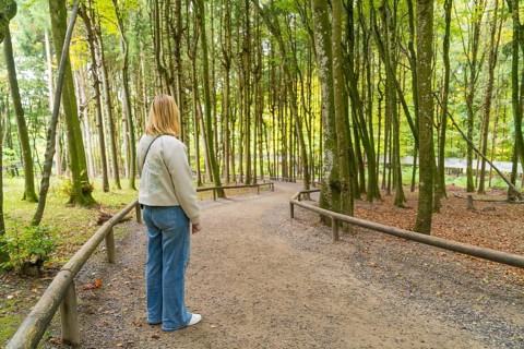 Person standing on a forest path surrounded by tall trees in autumn, Affenberg Salem, Lake