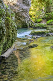 Erlauf Gorge, Purgstall an der Erlauf, Lower Austria, Austria