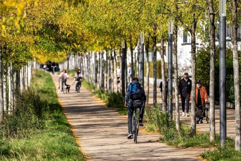Cycle path, footpath, avenue, residential area along Toulouser Allee, high-rise buildings with