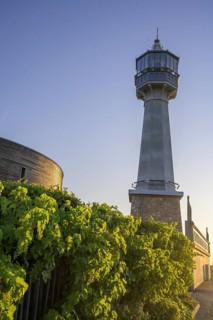 Vines and the lighthouse of, Verzenay, Marne, France