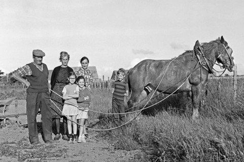 French farmer family with horse in the field, historical photograph from the 1970s, black and