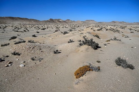 Diamond mining mound in the desert sand at the beginning of the 20th century, Pomona, restricted