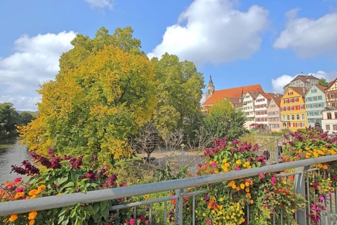 Colourful house front on the Neckar, house facade, Neckar bank, Neckar front, Neckar island, flower