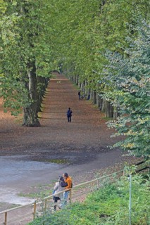 Plane tree avenue with pedestrian and standing couple, stroller, stroll, strolling, standing,