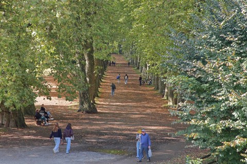 Plane tree avenue with pedestrians and seated persons on park bench, stroller, strolling,
