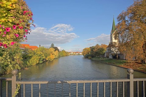Collegiate Church of St Moriz built 14th century and Neckar with bridge railing and flower