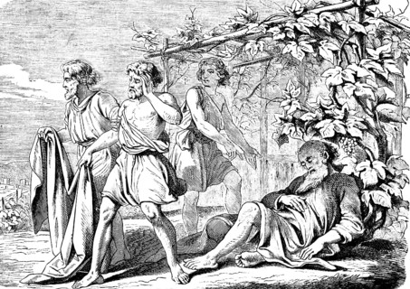 First Book of Genesis, chapter 9, Genesis, grape harvest, Noah drinks a lot of wine and falls
