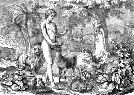 First Book of Genesis, chapter 1, Genesis, creation of man, the plant world, the animals, man gives