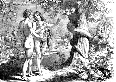 Genesis, chapter 3, Adam and Eve naked in paradise, snake in the tree, animal world, river, nature,