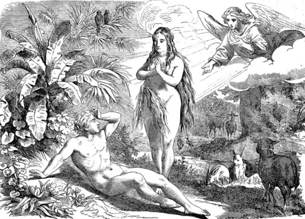 First book of Genesis, chapter 3, Adam and Eve naked in paradise, angels in heaven, animal world,