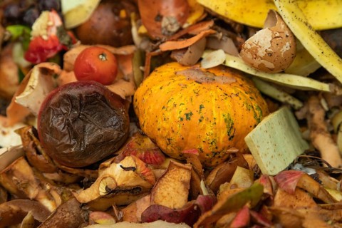 Compost pile made of organic food, leaves, vegetable and fruit Waste mix, Zero waste and Eco