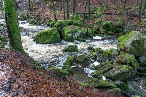 The Ilse at the Heinrich-Heine-Weg near Ilsenburg, Saxony-Anhalt, Germany