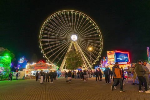 Large Ferris wheel lights up the night while people visit the stalls, Cannstatter Wasen folk