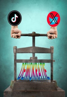 Symbolic image, asocial networks, X-Twitter, Elon Musk, TikTok, false reports, freedom,